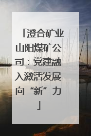 澄合矿业山阳煤矿公司：党建融入激活发展向“新”力