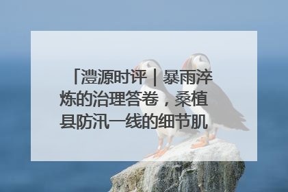 澧源时评｜暴雨淬炼的治理答卷，桑植县防汛一线的细节肌理与体系力量