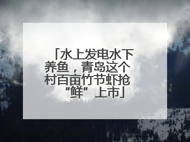 水上发电水下养鱼，青岛这个村百亩竹节虾抢“鲜”上市