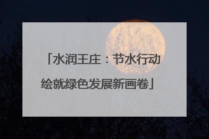 水润王庄：节水行动绘就绿色发展新画卷
