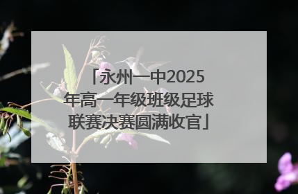 永州一中2025年高一年级班级足球联赛决赛圆满收官