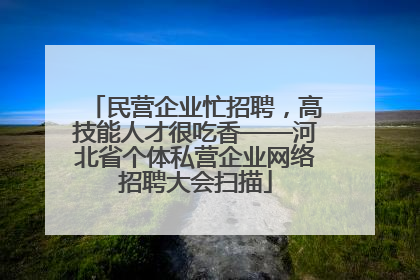 民营企业忙招聘，高技能人才很吃香——河北省个体私营企业网络招聘大会扫描