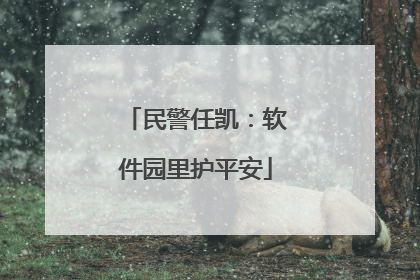民警任凯：软件园里护平安