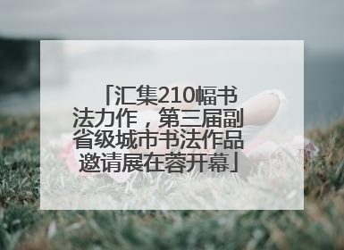 汇集210幅书法力作，第三届副省级城市书法作品邀请展在蓉开幕
