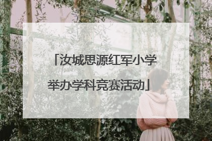 汝城思源红军小学举办学科竞赛活动
