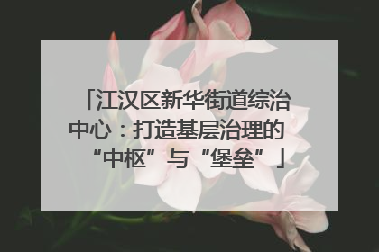 江汉区新华街道综治中心：打造基层治理的“中枢”与“堡垒”