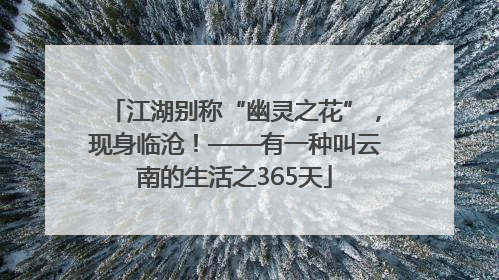 江湖别称“幽灵之花”，现身临沧！——有一种叫云南的生活之365天