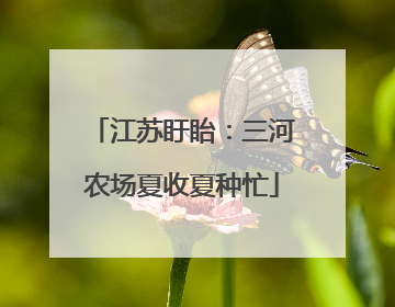 江苏盱眙：三河农场夏收夏种忙