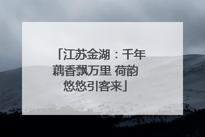 江苏金湖：千年藕香飘万里 荷韵悠悠引客来