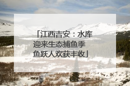 江西吉安：水库迎来生态捕鱼季 鱼跃人欢获丰收