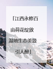 江西永修百亩荷花绽放 湿地生态美景引人醉