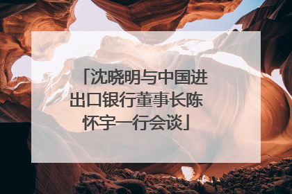 沈晓明与中国进出口银行董事长陈怀宇一行会谈