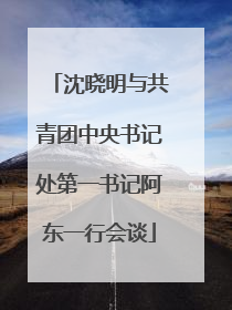 沈晓明与共青团中央书记处第一书记阿东一行会谈