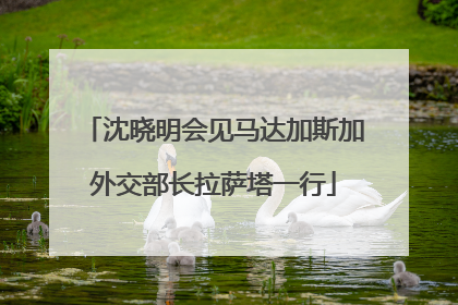 沈晓明会见马达加斯加外交部长拉萨塔一行