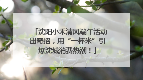 沈阳小禾清风端午活动出奇招，用“一杯米”引爆沈城消费热潮！