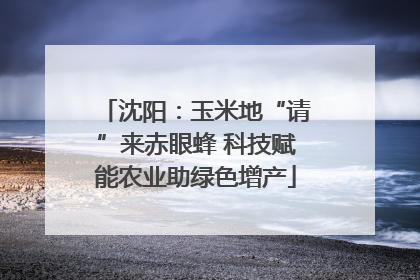 沈阳：玉米地“请”来赤眼蜂 科技赋能农业助绿色增产