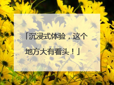 沉浸式体验，这个地方大有看头！