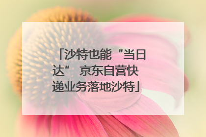 沙特也能“当日达” 京东自营快递业务落地沙特
