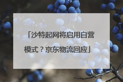 沙特起网将启用自营模式？京东物流回应