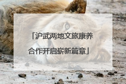 沪武两地文旅康养合作开启崭新篇章