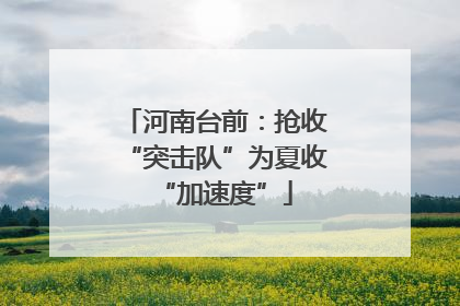 河南台前：抢收“突击队”为夏收“加速度”