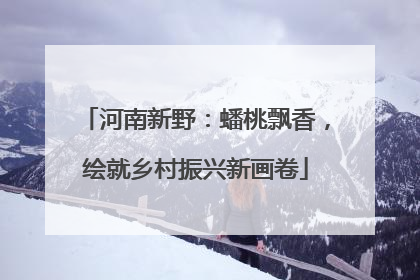 河南新野：蟠桃飘香，绘就乡村振兴新画卷