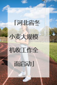 河北省冬小麦大规模机收工作全面启动
