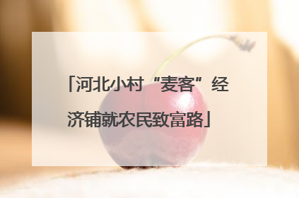 河北小村“麦客”经济铺就农民致富路