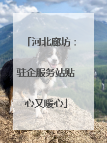 河北廊坊：驻企服务站贴心又暖心