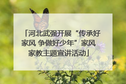河北武强开展“传承好家风 争做好少年”家风家教主题宣讲活动
