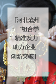 河北沧州：“组合拳”精准发力 助力企业创新突破
