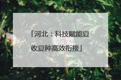 河北:科技赋能夏收夏种高效衔接