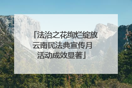 法治之花绚烂绽放 云南民法典宣传月活动成效显著