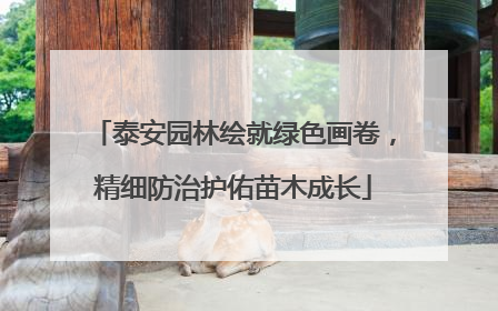 泰安园林绘就绿色画卷，精细防治护佑苗木成长