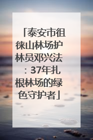 泰安市徂徕山林场护林员邓兴法：37年扎根林场的绿色守护者