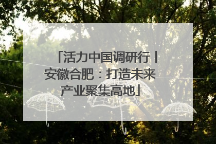 活力中国调研行丨安徽合肥：打造未来产业聚集高地