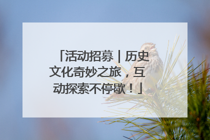 活动招募｜历史文化奇妙之旅，互动探索不停歇！