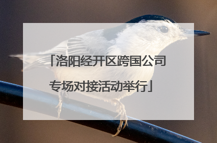 洛阳经开区跨国公司专场对接活动举行