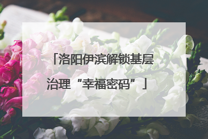 洛阳伊滨解锁基层治理“幸福密码”