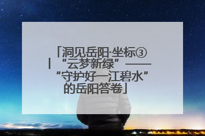 洞见岳阳·坐标③丨“云梦新绿”——“守护好一江碧水”的岳阳答卷