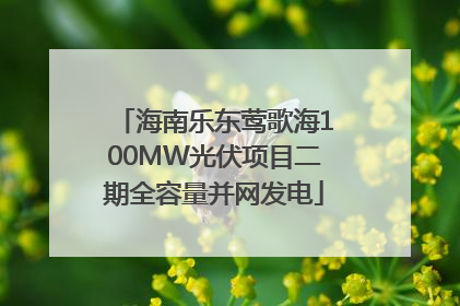 海南乐东莺歌海100MW光伏项目二期全容量并网发电