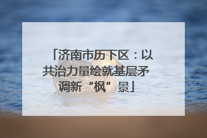 济南市历下区：以共治力量绘就基层矛调新“枫”景