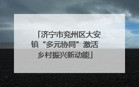 济宁市兖州区大安镇“多元协同”激活乡村振兴新动能