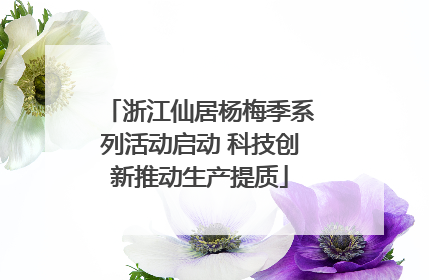 浙江仙居杨梅季系列活动启动 科技创新推动生产提质
