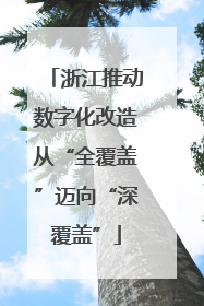 浙江推动数字化改造从“全覆盖”迈向“深覆盖”