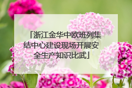 浙江金华中欧班列集结中心建设现场开展安全生产知识比武