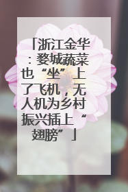 浙江金华：婺城蔬菜也“坐”上了飞机，无人机为乡村振兴插上“翅膀”