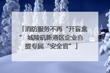 消防服务不再“开盲盒” 城陵矶新港区企业喜提专属“安全官”