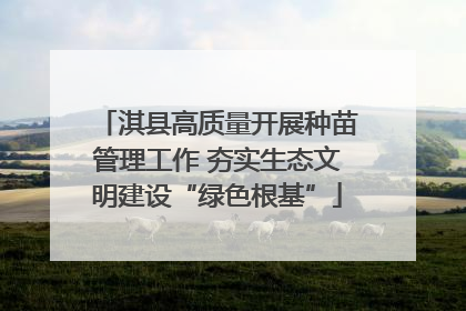 淇县高质量开展种苗管理工作 夯实生态文明建设“绿色根基”