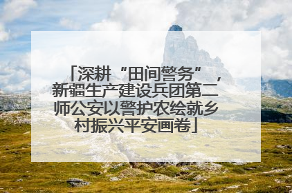 深耕“田间警务”，新疆生产建设兵团第二师公安以警护农绘就乡村振兴平安画卷